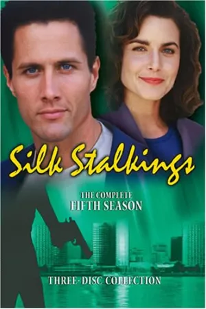 Silk Stalkings - The Complete Fifth Season [DVD]