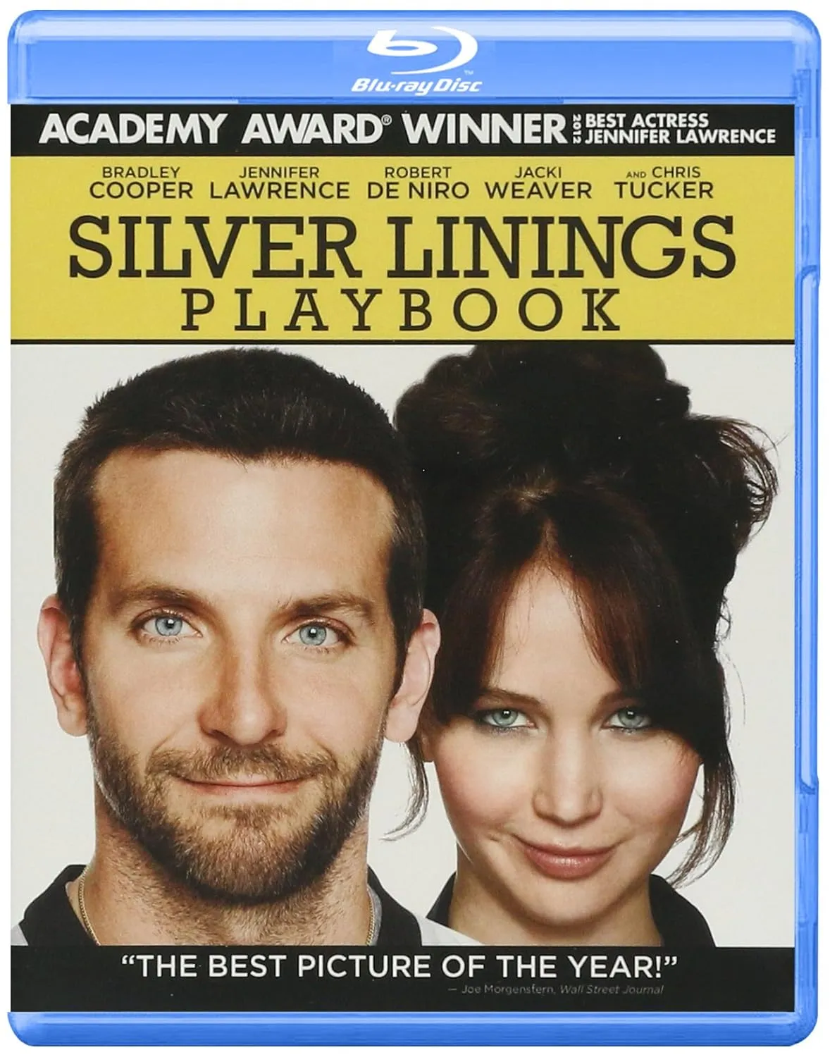 Silver Linings Playbook
